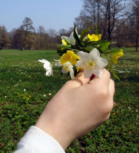 Pohľadnica