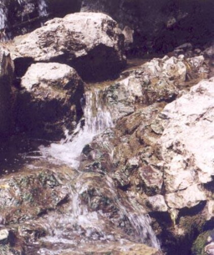 Pohľadnica