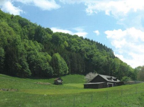 Pohľadnica
