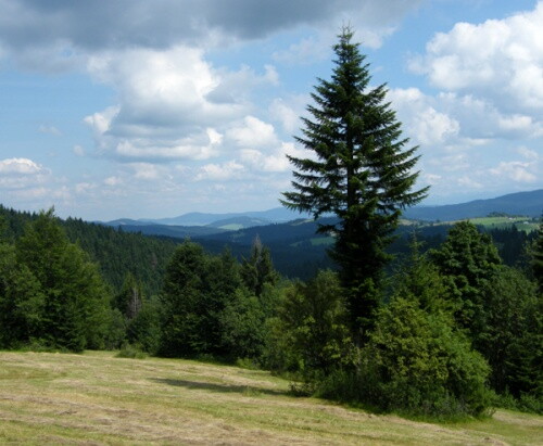 Pohľadnica