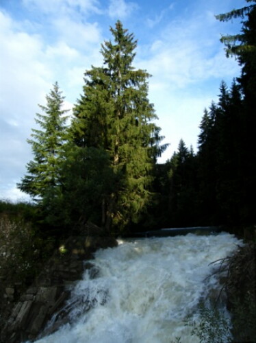 Pohľadnica