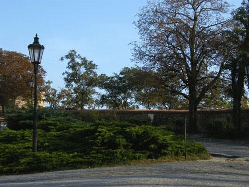 Pohľadnica