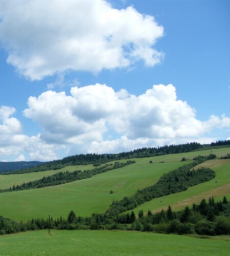 Pohľadnica