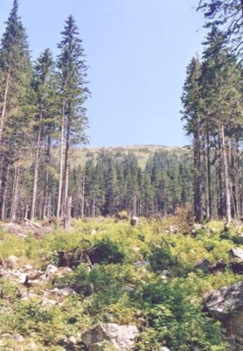 Pohľadnica