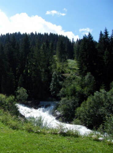 Pohľadnica