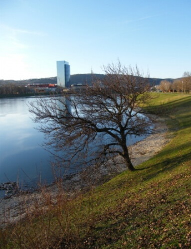 Pohľadnica
