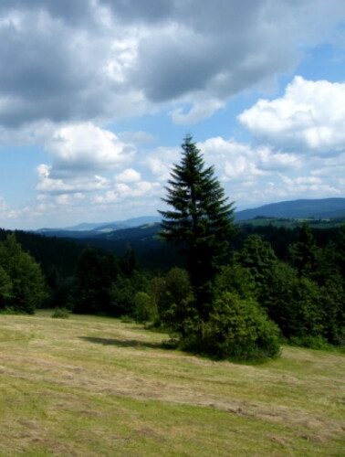 Pohľadnica