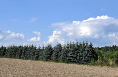 Pohľadnica