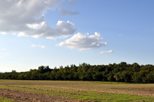 Pohľadnica