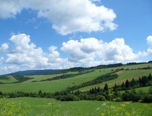 Pohľadnica