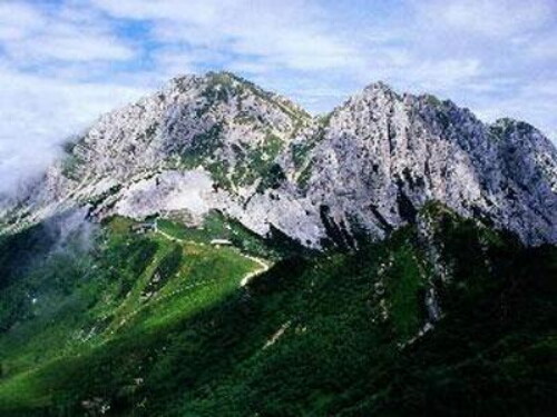 Pohľadnica
