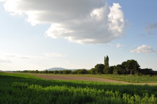 Pohľadnica