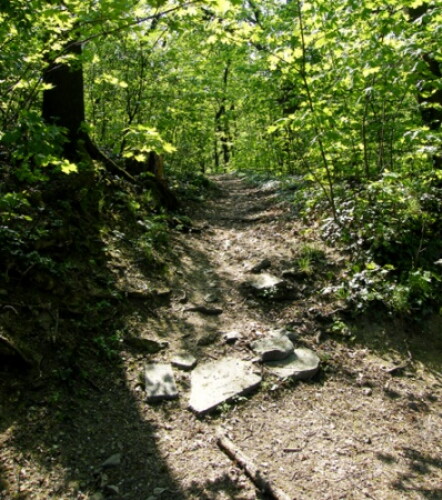 Pohľadnica