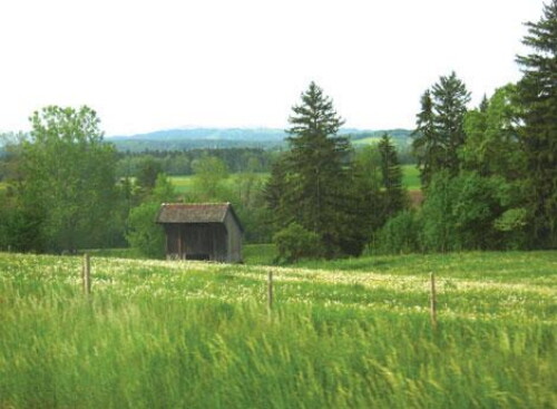 Pohľadnica
