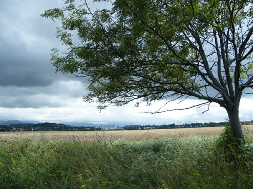 Pohľadnica