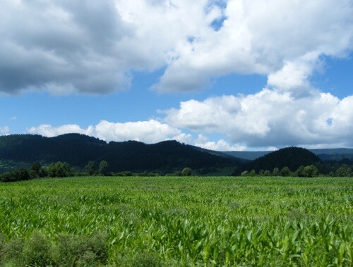 Pohľadnica