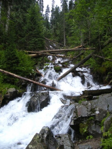 Pohľadnica