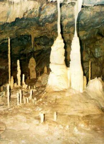 Pohľadnica