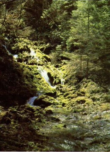 Pohľadnica