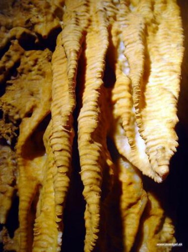 Pohľadnica