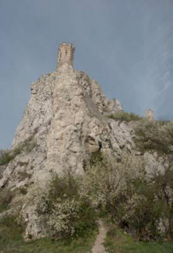 Pohľadnica