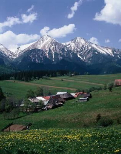 Pohľadnica