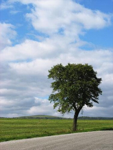 Pohľadnica