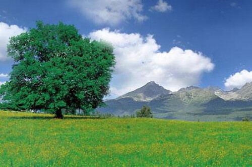 Pohľadnica