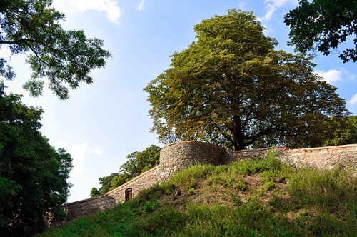 Pohľadnica