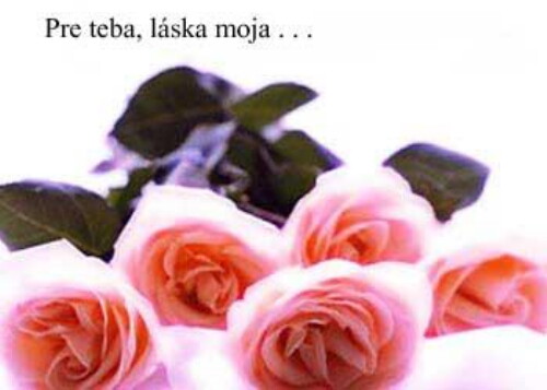 Pohľadnica