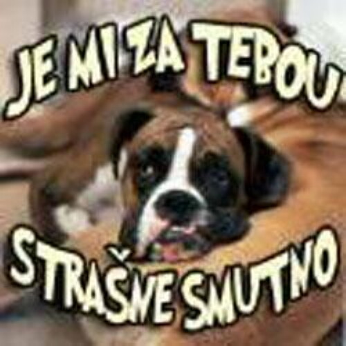 Pohľadnica