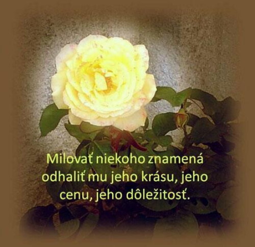 Pohľadnica