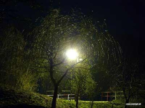 Pohľadnica